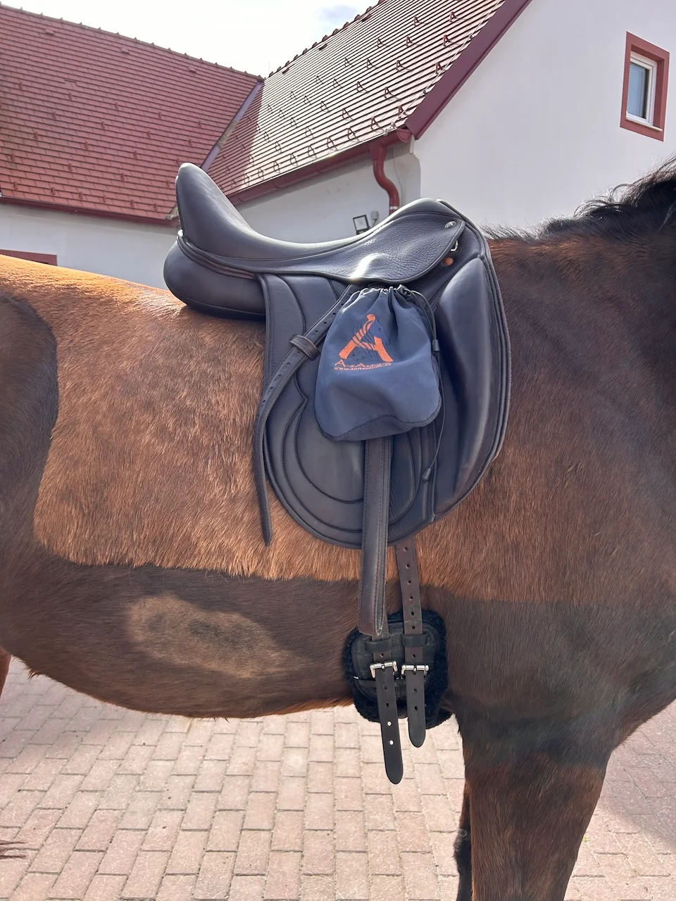 Asaddles Dressurmodelle von Sattelberatung Barbara Pamperl-Zichtl